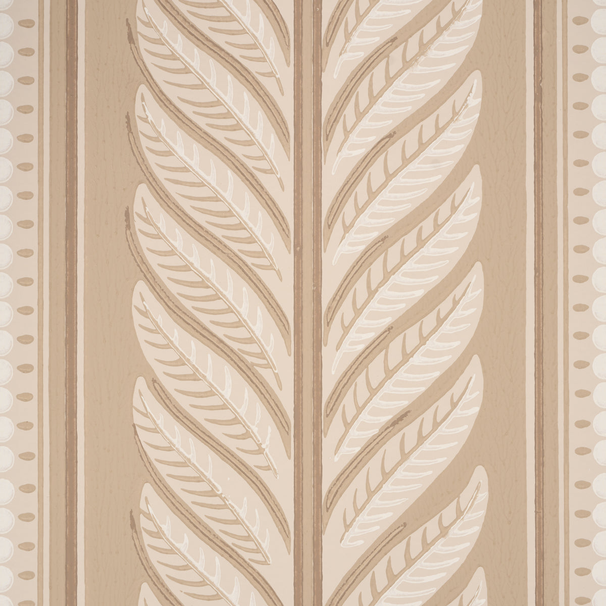 TELO ORtensia | CERVO