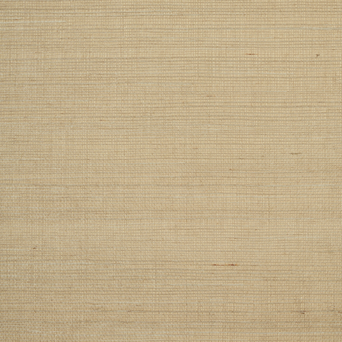 HARUKI SISAL | Driftwood