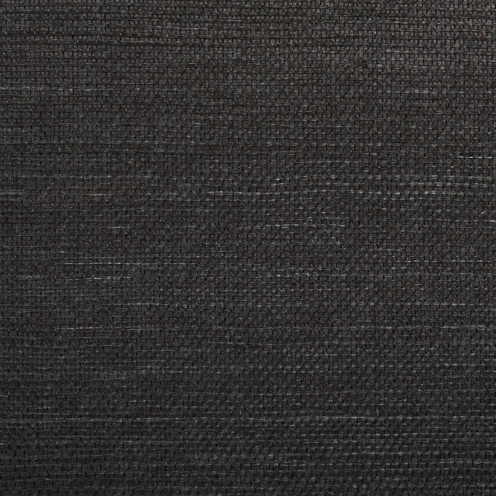 HARUKI SISAL | Jet