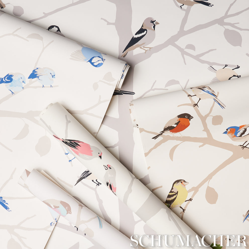A-TWITTER | ARROSSIRE