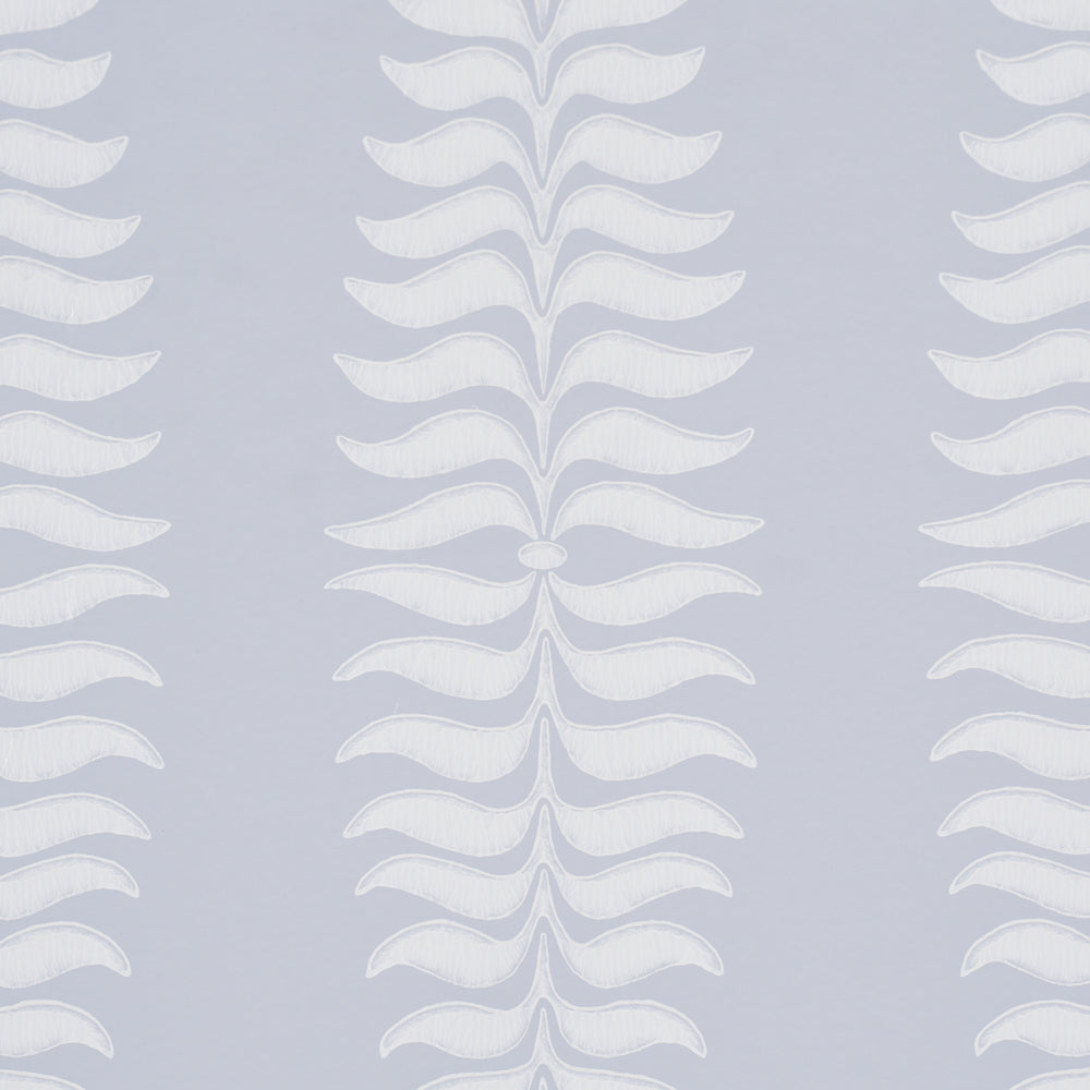 Fern Tree | Cloud