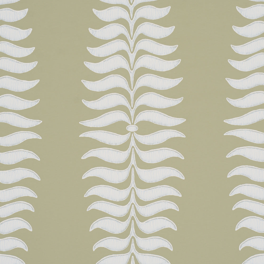 Fern Tree | Olive