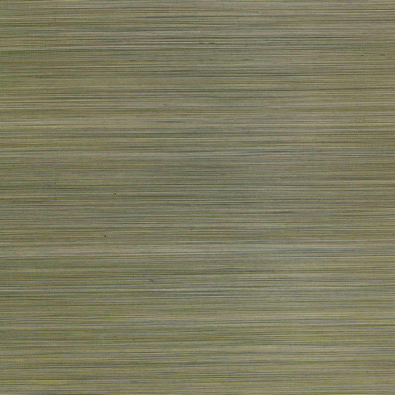 BAMBÙ ZEN | SAGGIO