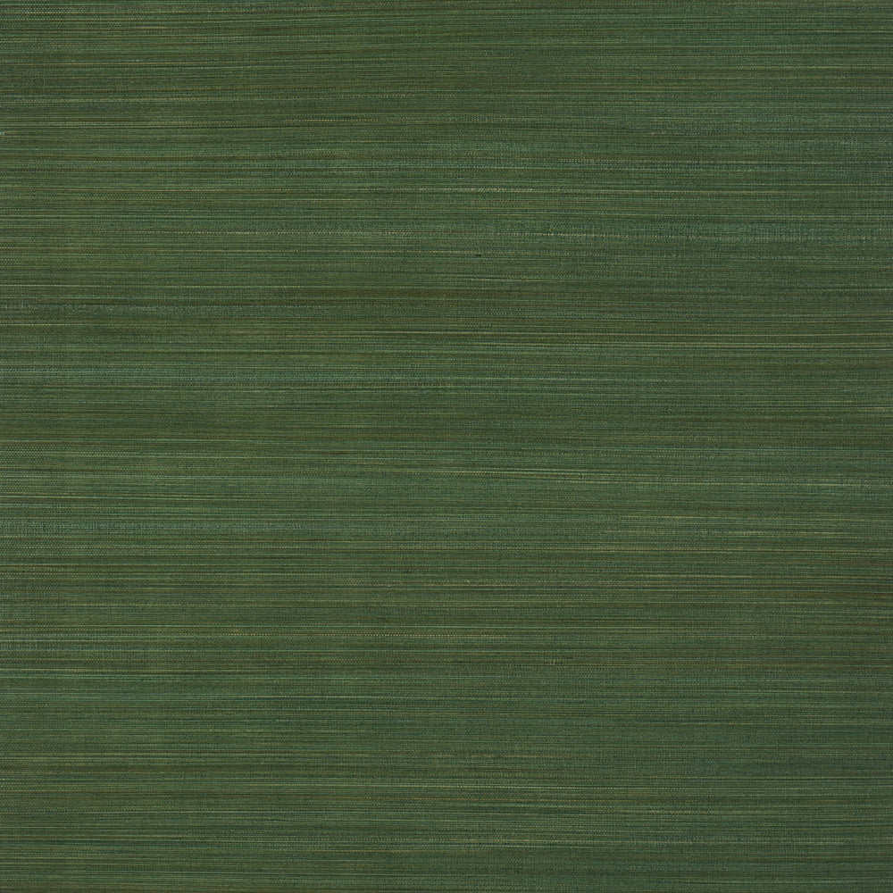 ZEN BAMBOO | Palm