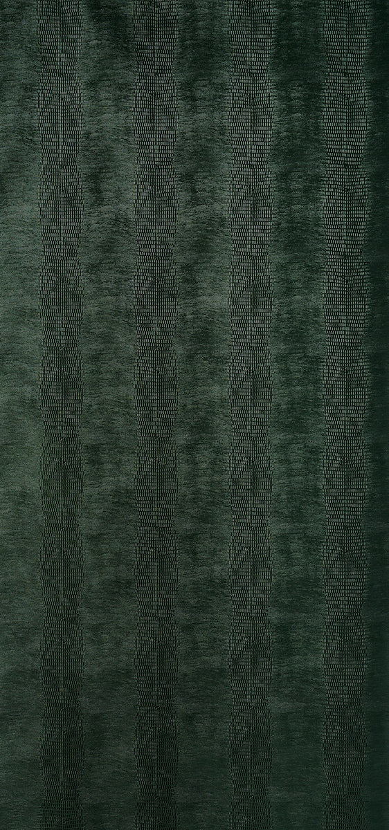 KOMODO | Forest Green