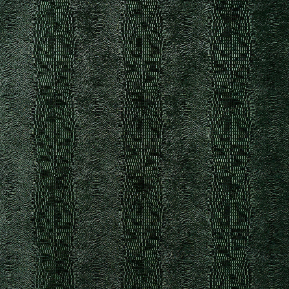 KOMODO | Forest Green