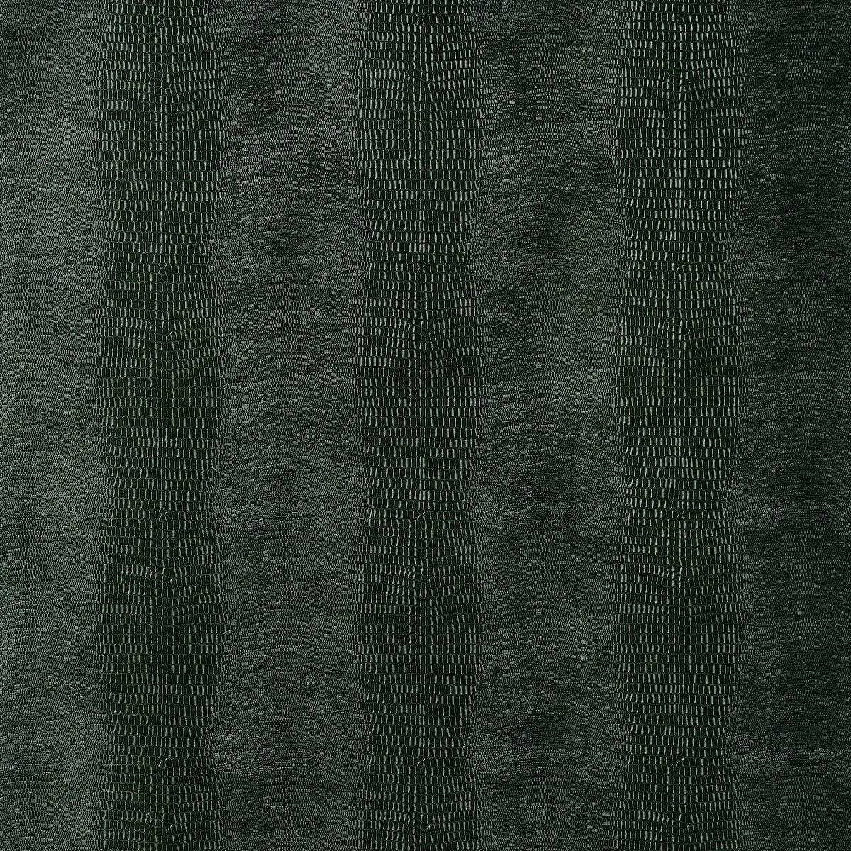 KOMODO | Forest Green
