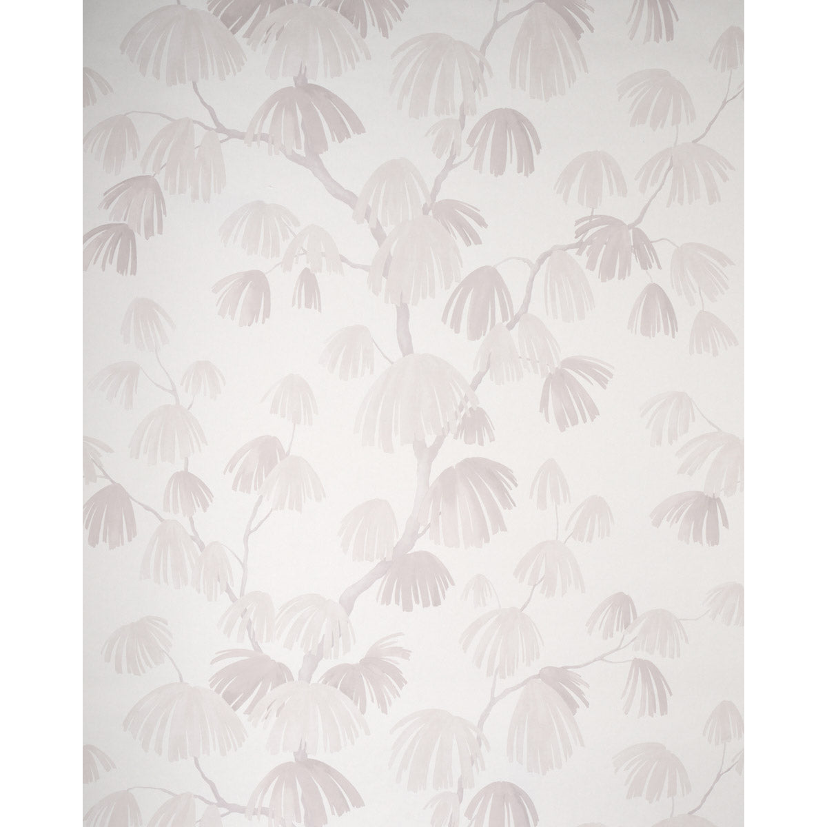 WEEPING PINE | Cloud