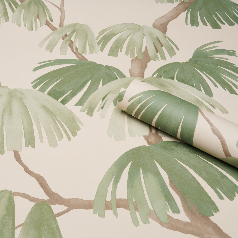 Weeping Pine | Green