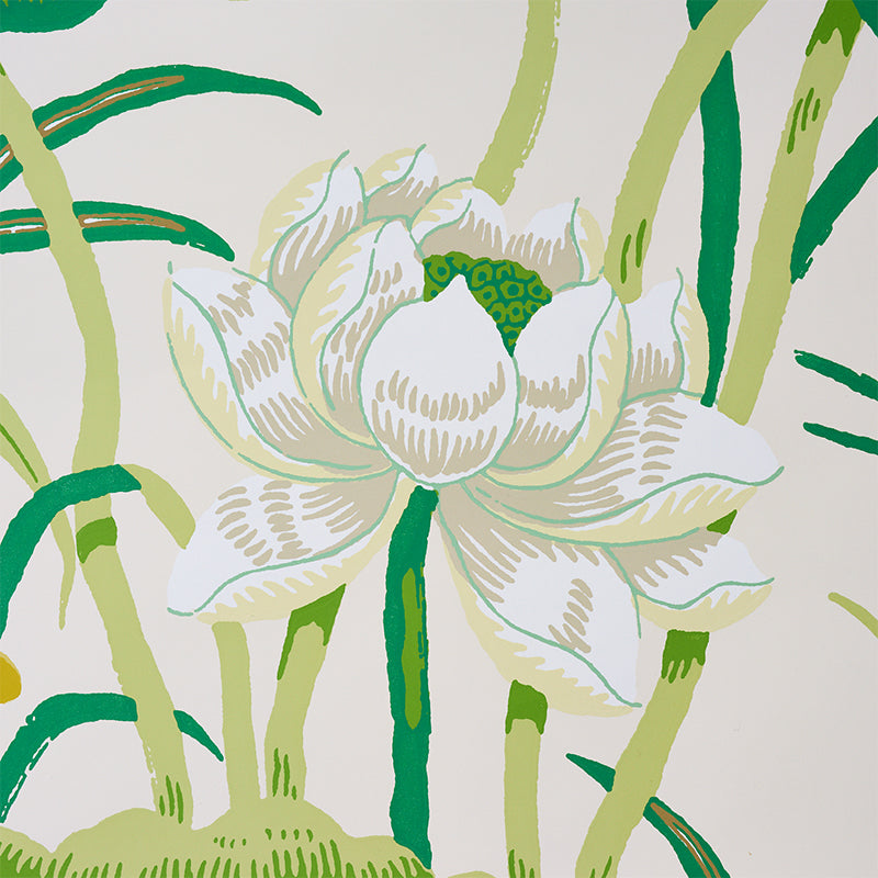 Lotus Garden | Leaf