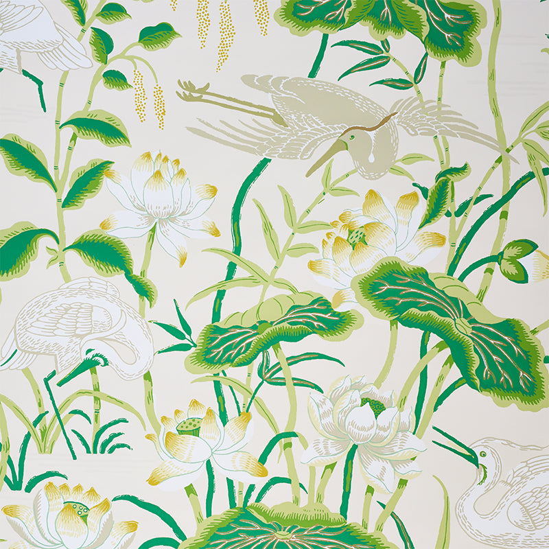 Lotus Garden | Leaf