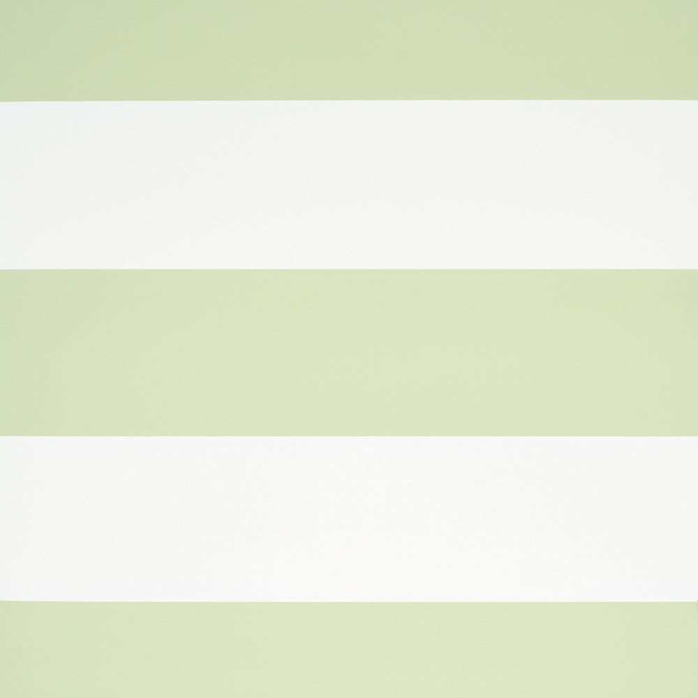 BAXTER STRIPE | Green