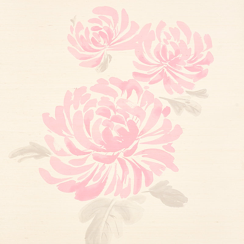HANA SISAL | ROSA
