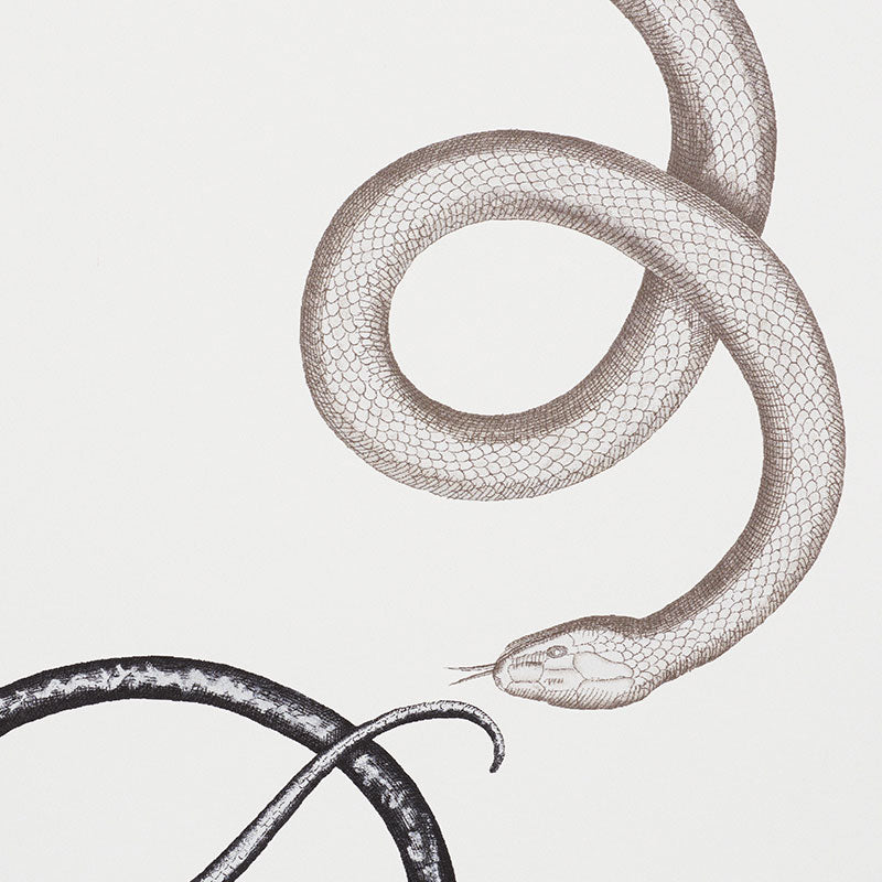 GIOVE | AGATA E ONICE