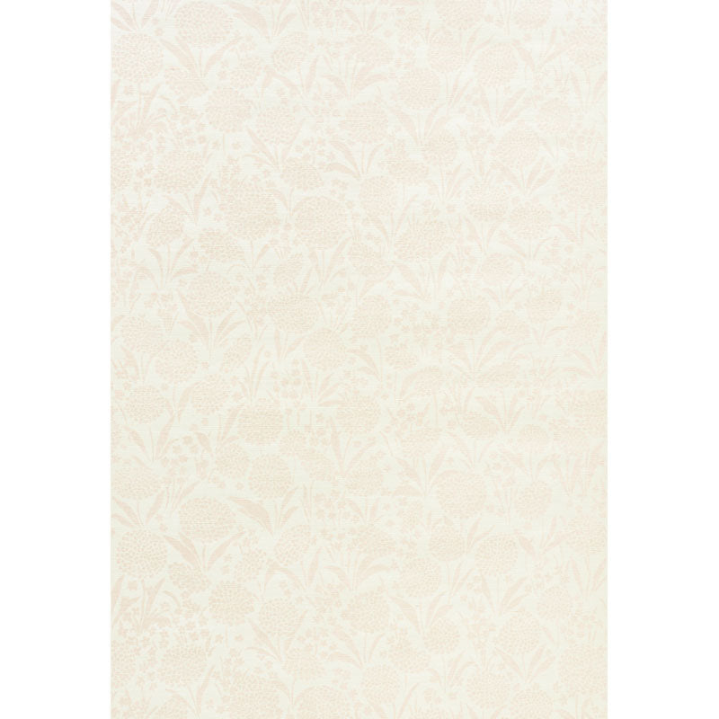CRISANTEMO SISAL | ARROSSIRE
