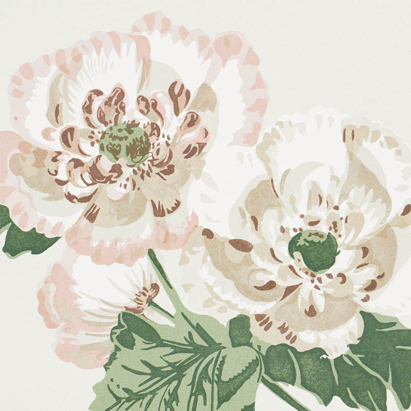 BETTY | ROSA TRANQUILLO