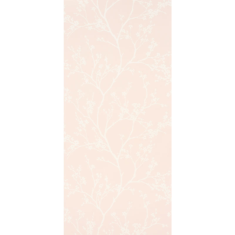 VINILE TWIGGY | ARROSSIRE