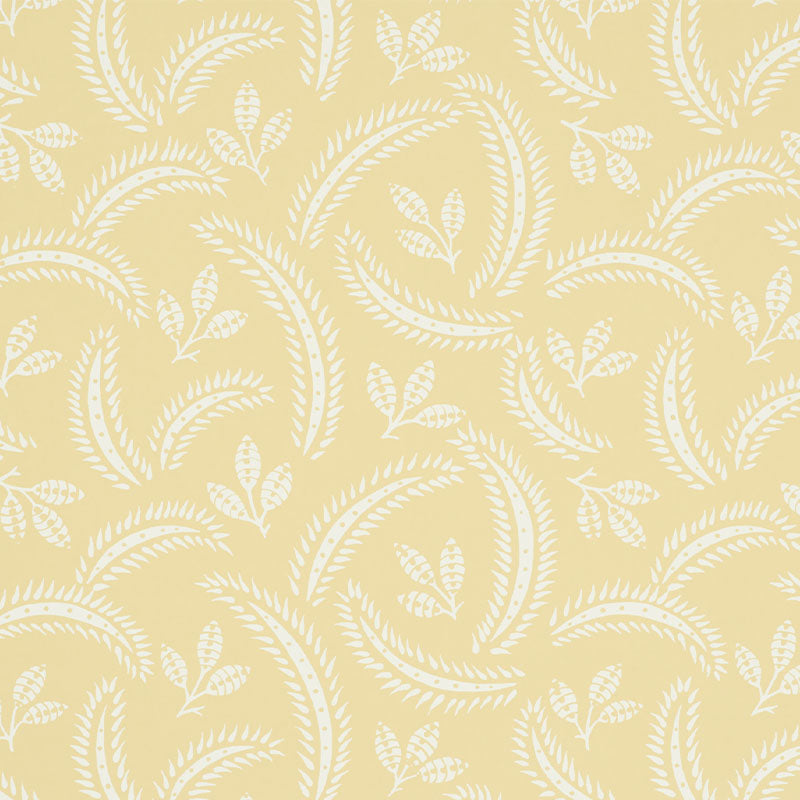 DELIA | Buttercup