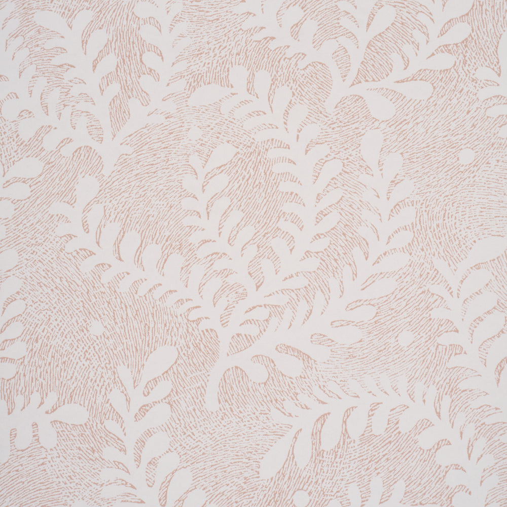 Etched Fern | Blush