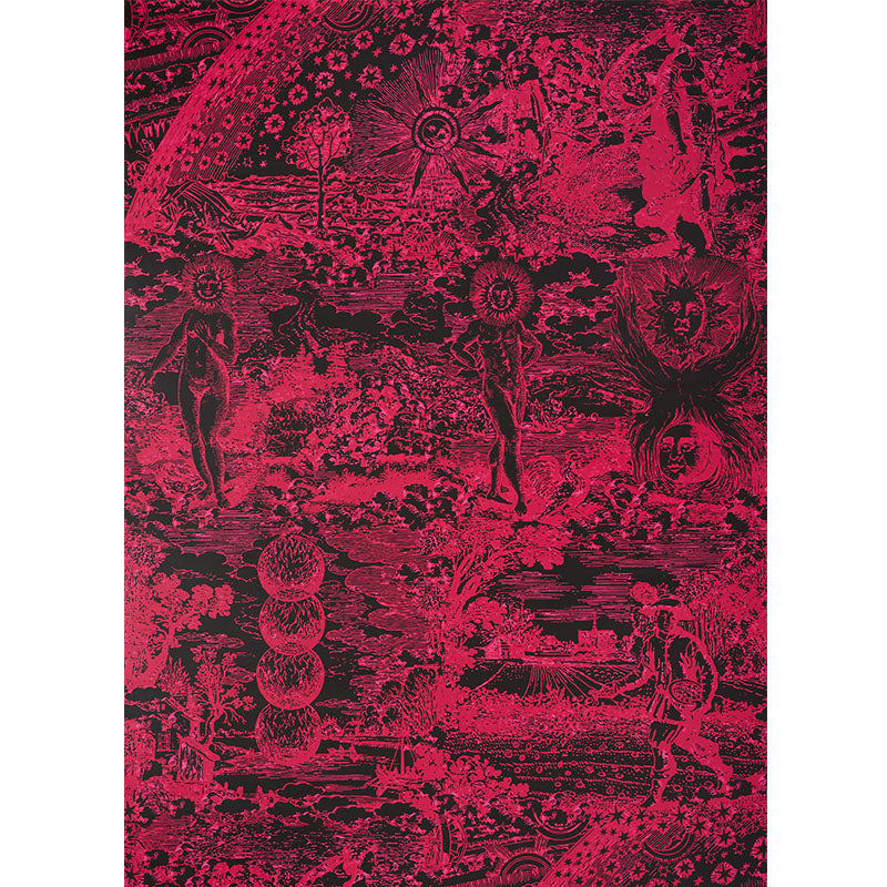 MODERN TOILE | Pink & Black