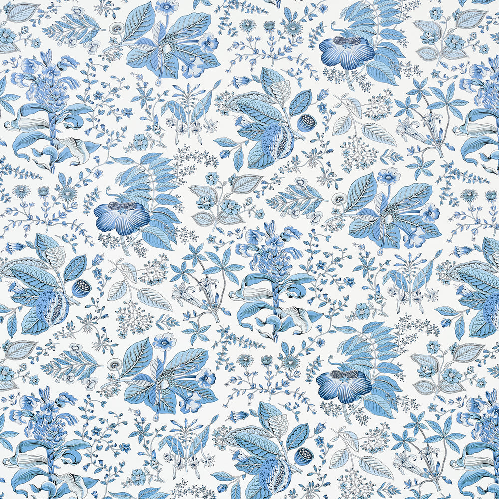 BOTANICA DEL MELOGRANO | BLU