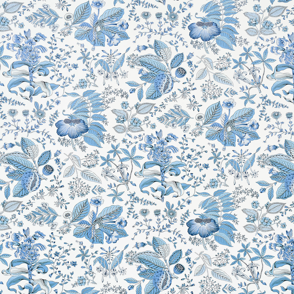 BOTANICA DEL MELOGRANO | BLU