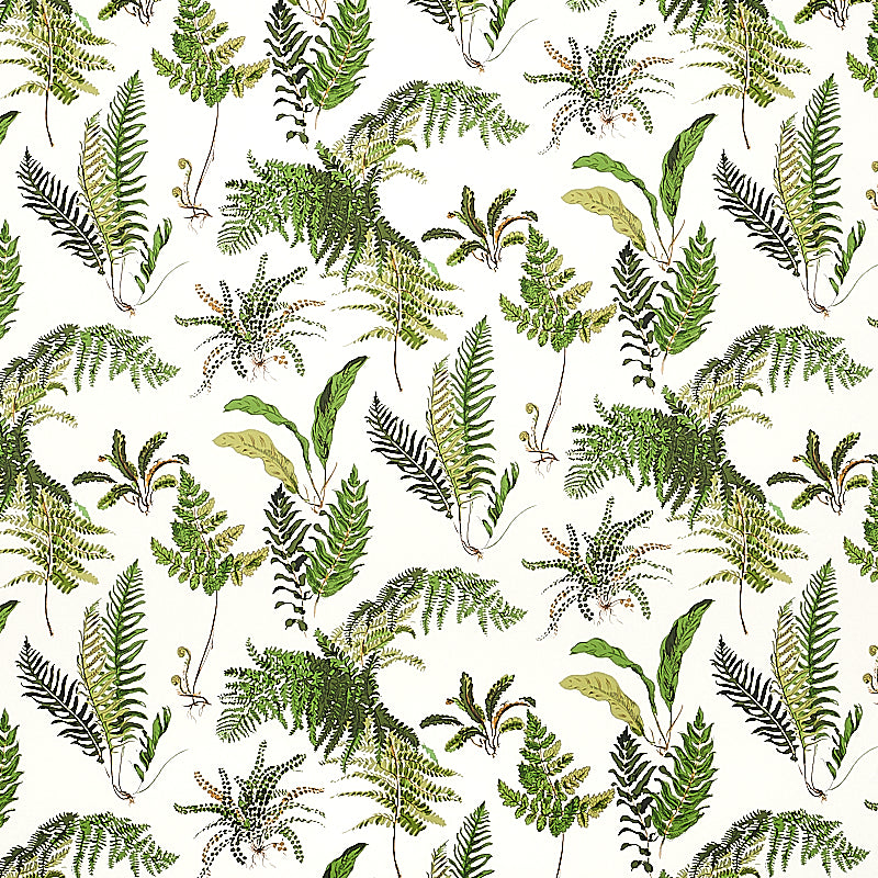 I FOUGERES | DOCUMENTO