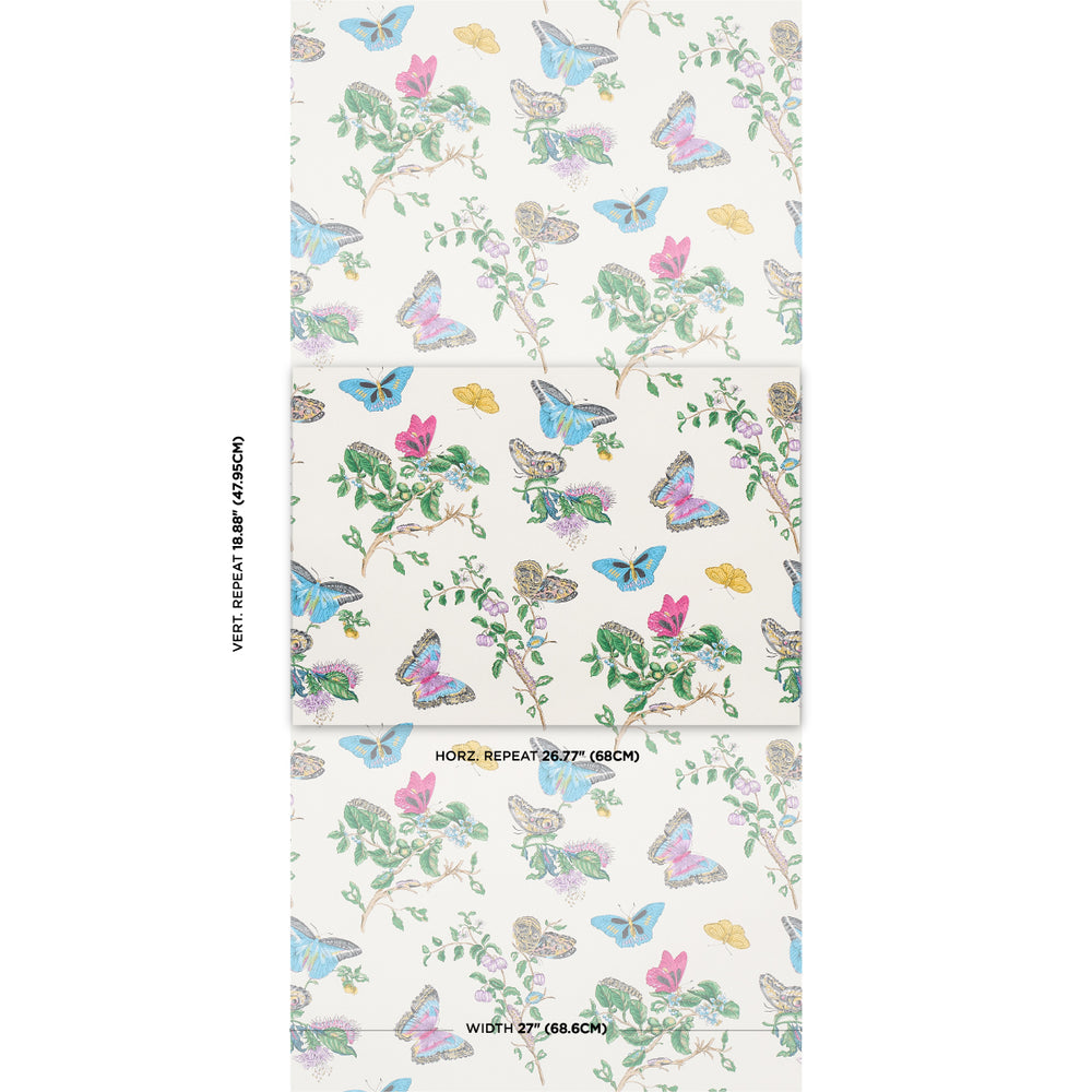 FARFALLA BAUDIN | TURCHESE