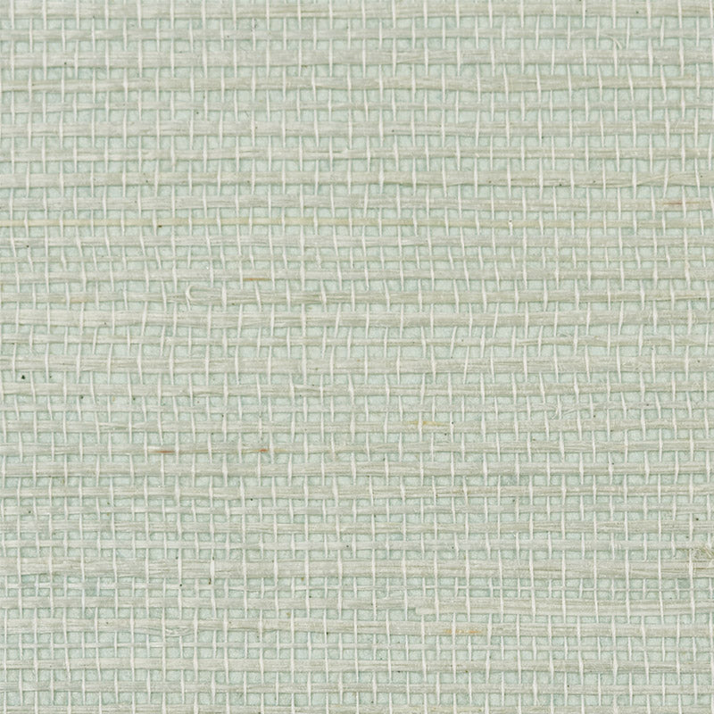 HARUKI SISAL | Aloe