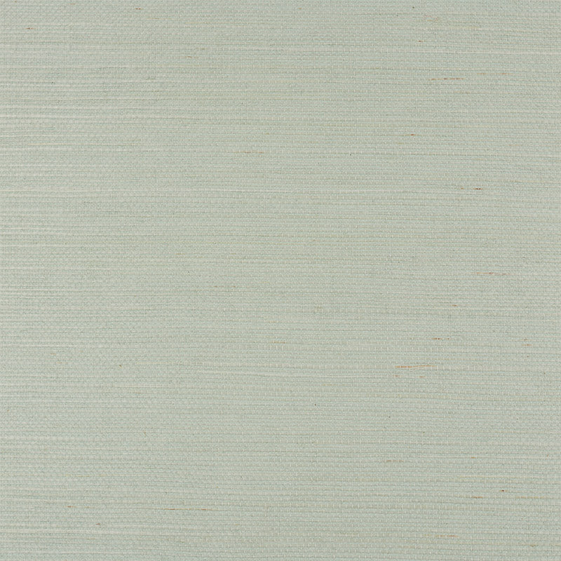 HARUKI SISAL | Aloe