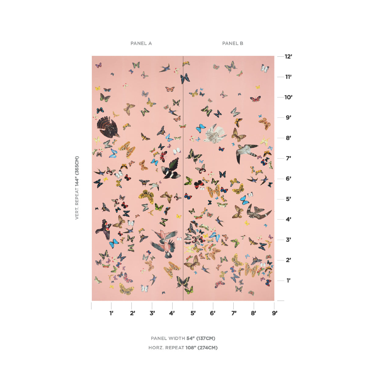 SET PANNELLI DI VOLO DELLA REGINA | ROSA