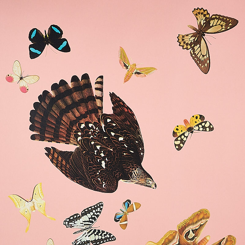 SET PANNELLI DI VOLO DELLA REGINA | ROSA