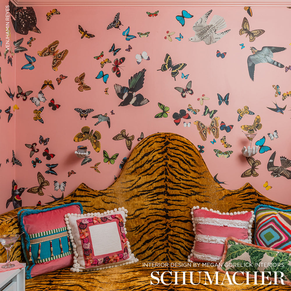 SET PANNELLI DI VOLO DELLA REGINA | ROSA