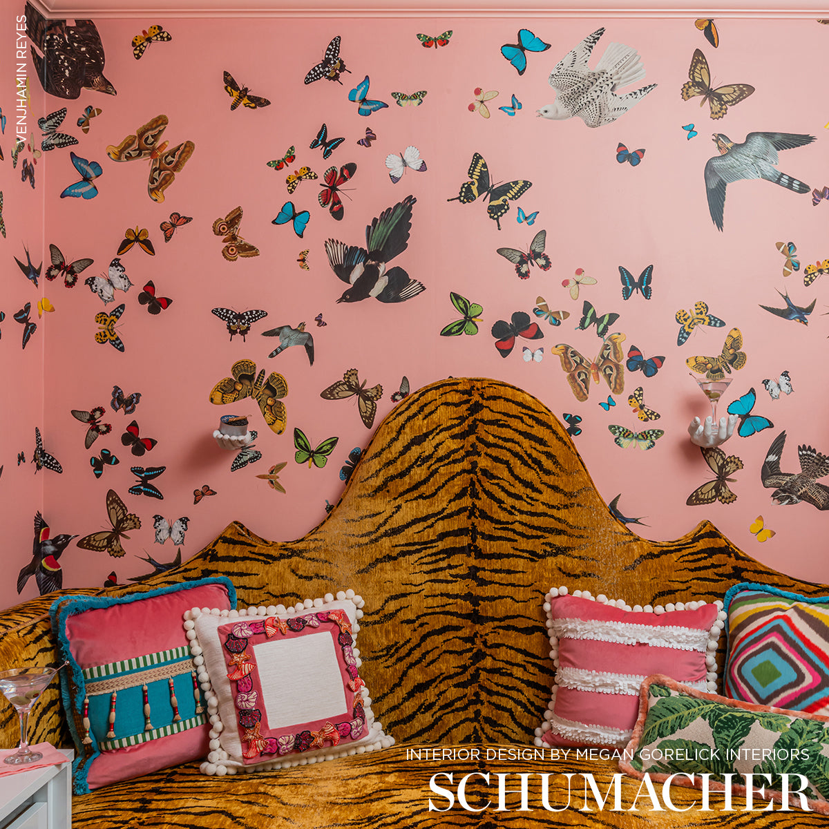 SET PANNELLI DI VOLO DELLA REGINA | ROSA