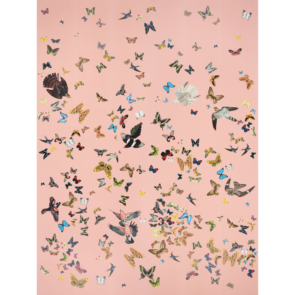 SET PANNELLI DI VOLO DELLA REGINA | ROSA