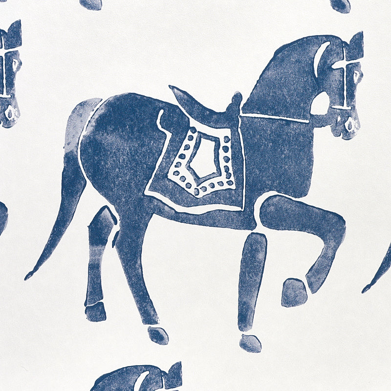CAVALLO MARWARI | MARINA MILITARE
