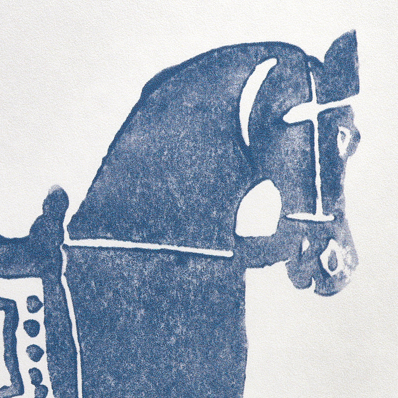 CAVALLO MARWARI | MARINA MILITARE