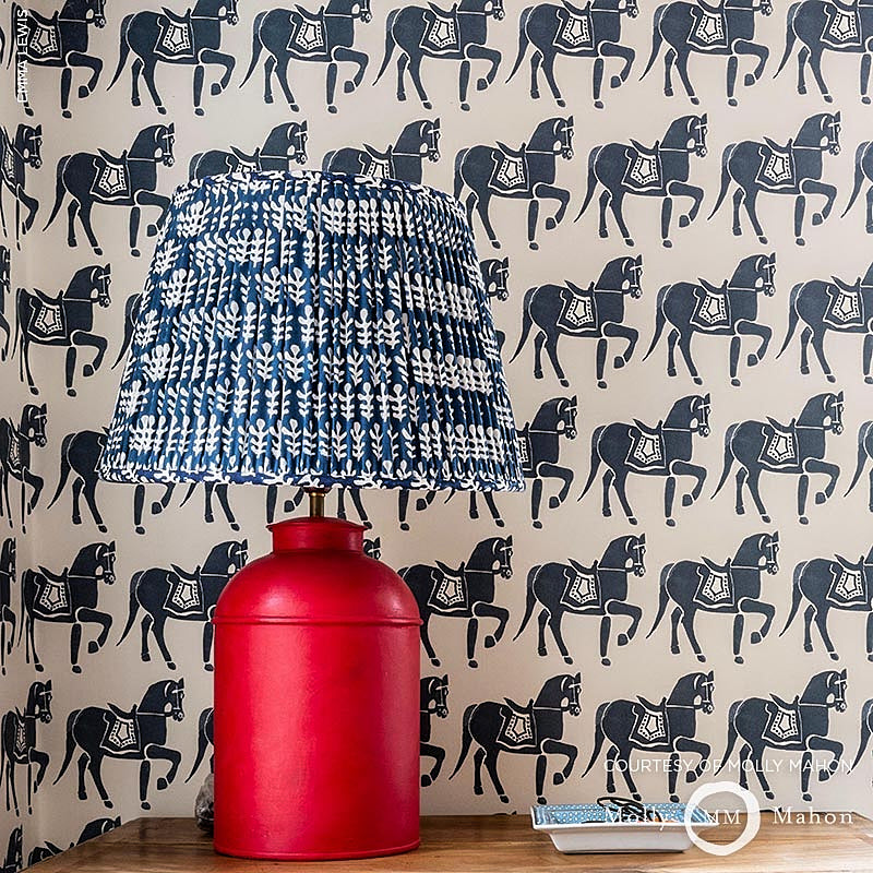 CAVALLO MARWARI | MARINA MILITARE