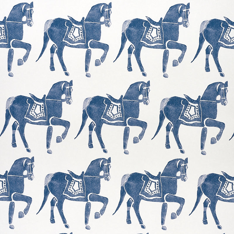 CAVALLO MARWARI | MARINA MILITARE