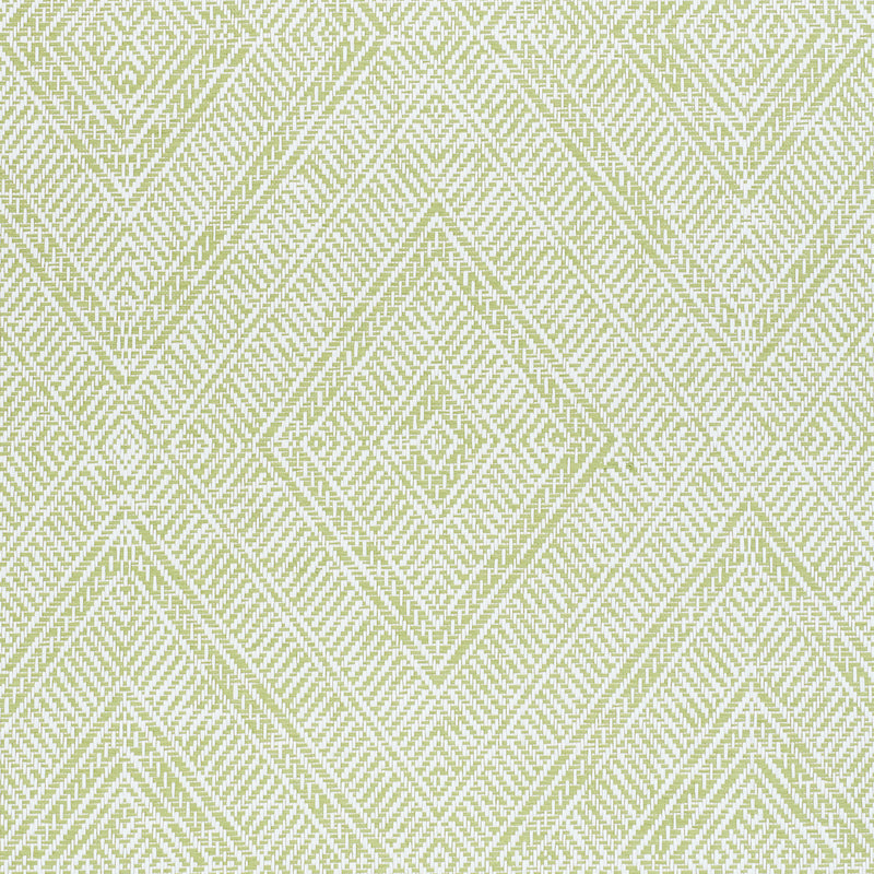 CARTA TORTOLA | VERDE