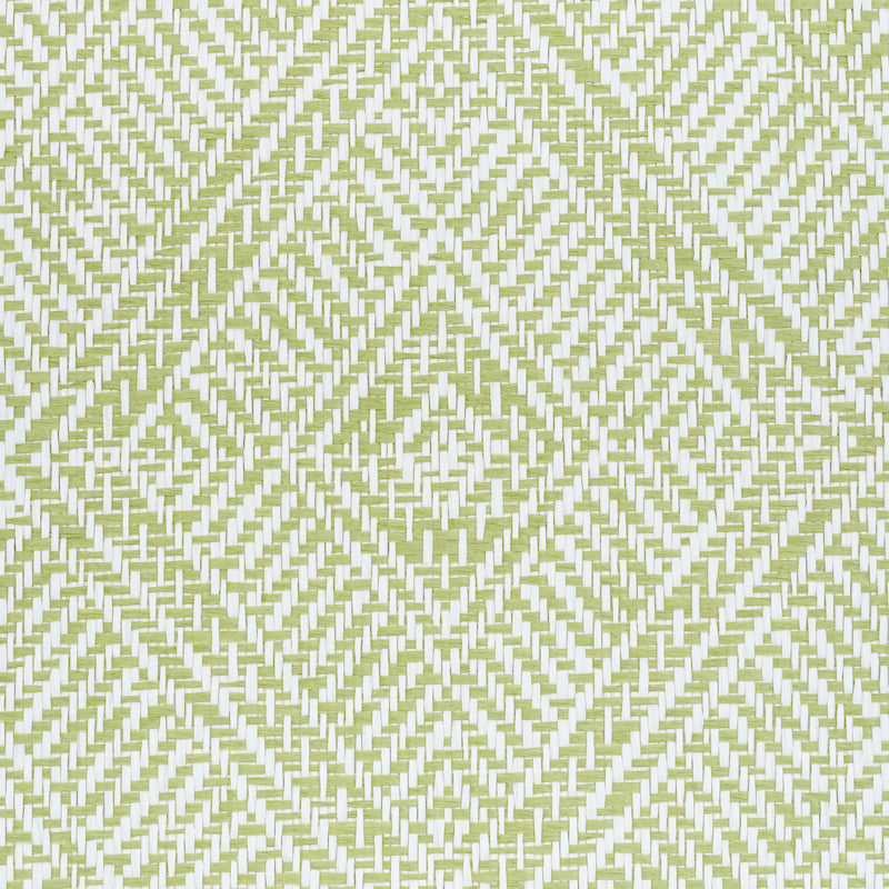 CARTA TORTOLA | VERDE