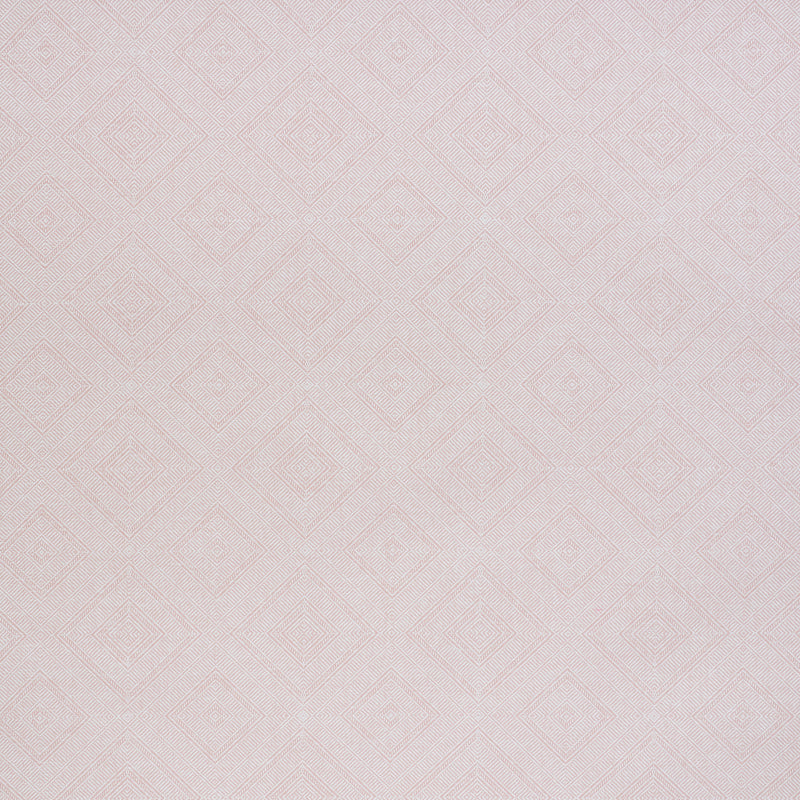 CARTA TORTOLA | ROSA