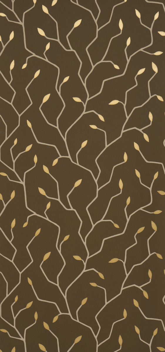 CYMBELINE | Chocolate