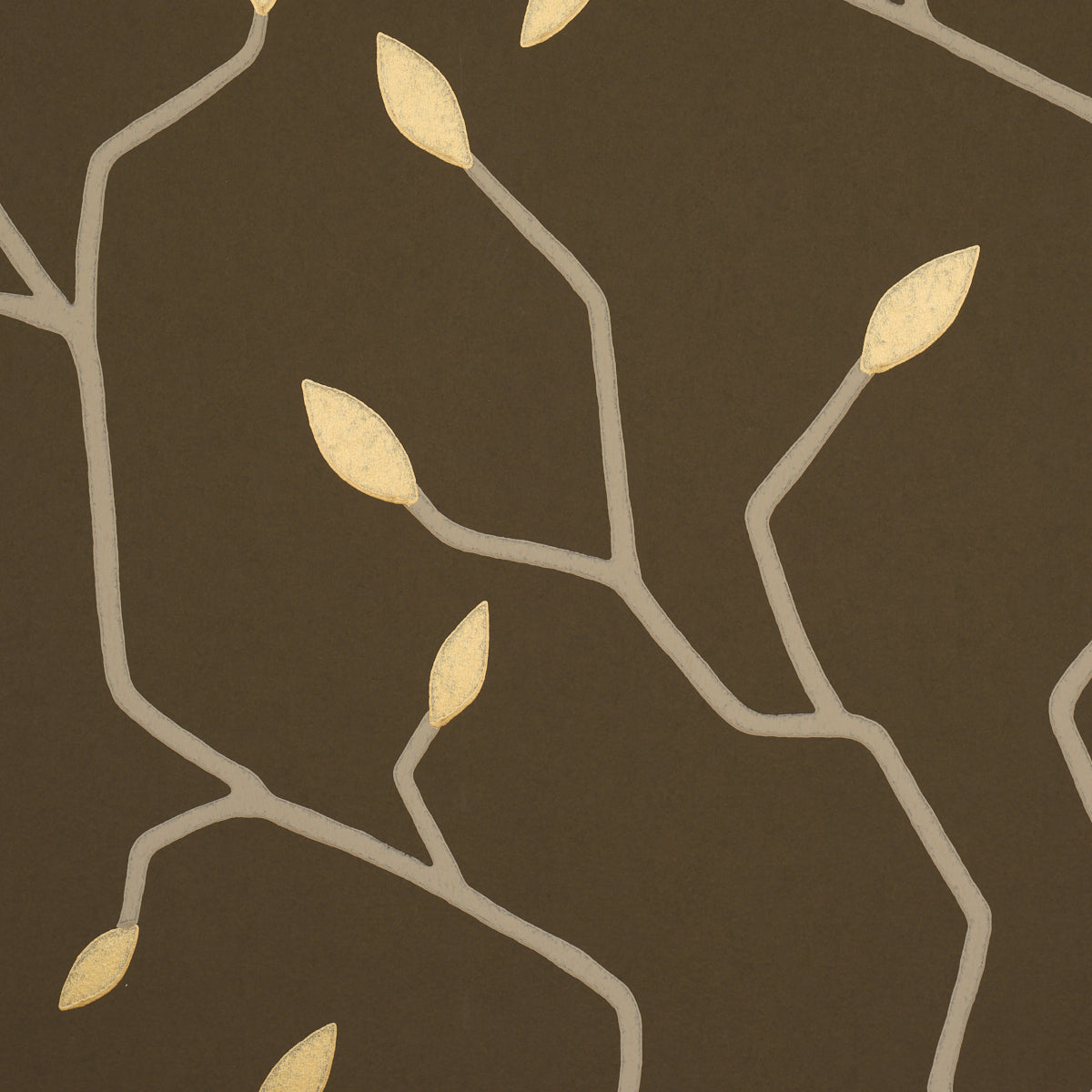 CYMBELINE | Chocolate
