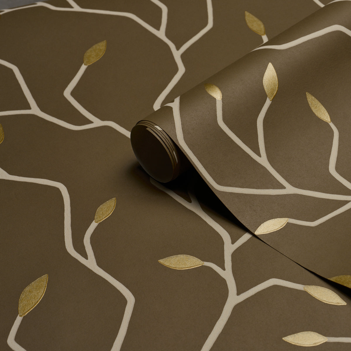 CYMBELINE | Chocolate