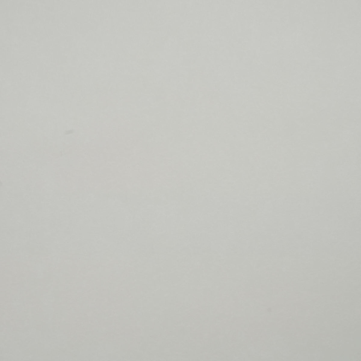 CARRO DELL'ALBA TOILE GROUND | AVORIO