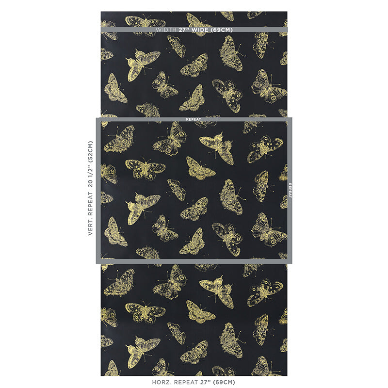 FARFALLA BURNELL | NERO