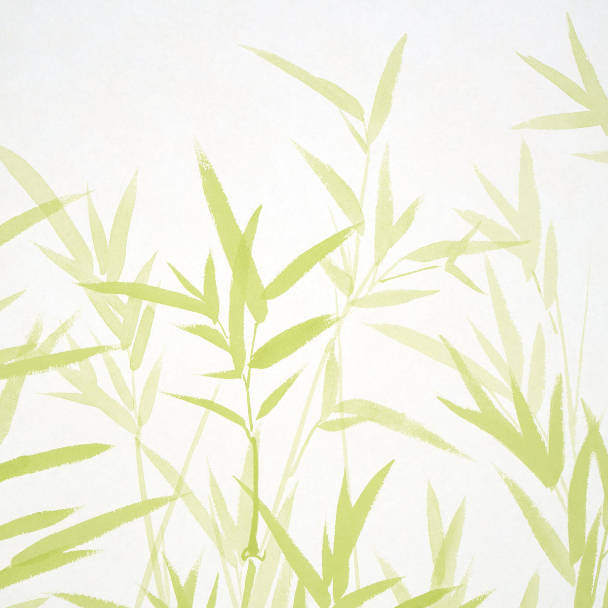 SET PANNELLI KANJI | VERDE