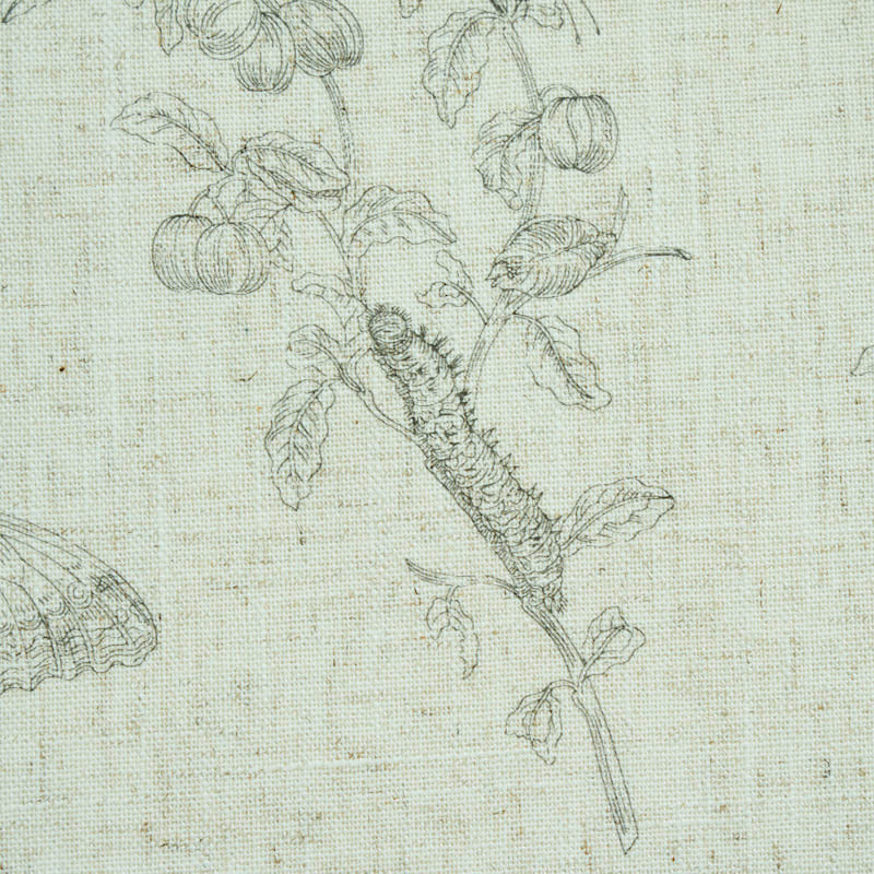 BAUDIN FARFALLA LINO | NERO