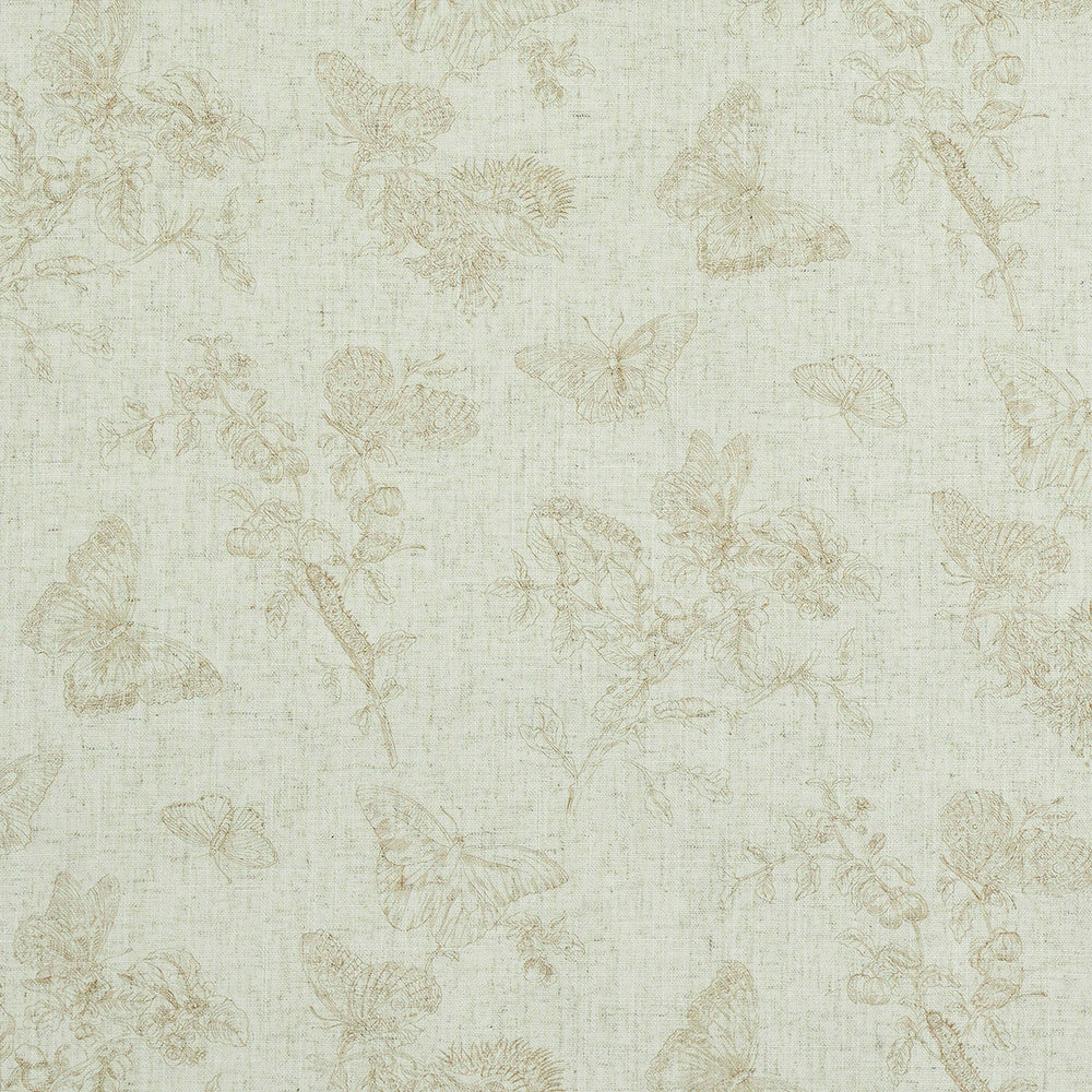 BAUDIN FARFALLA LINO | NATURALE